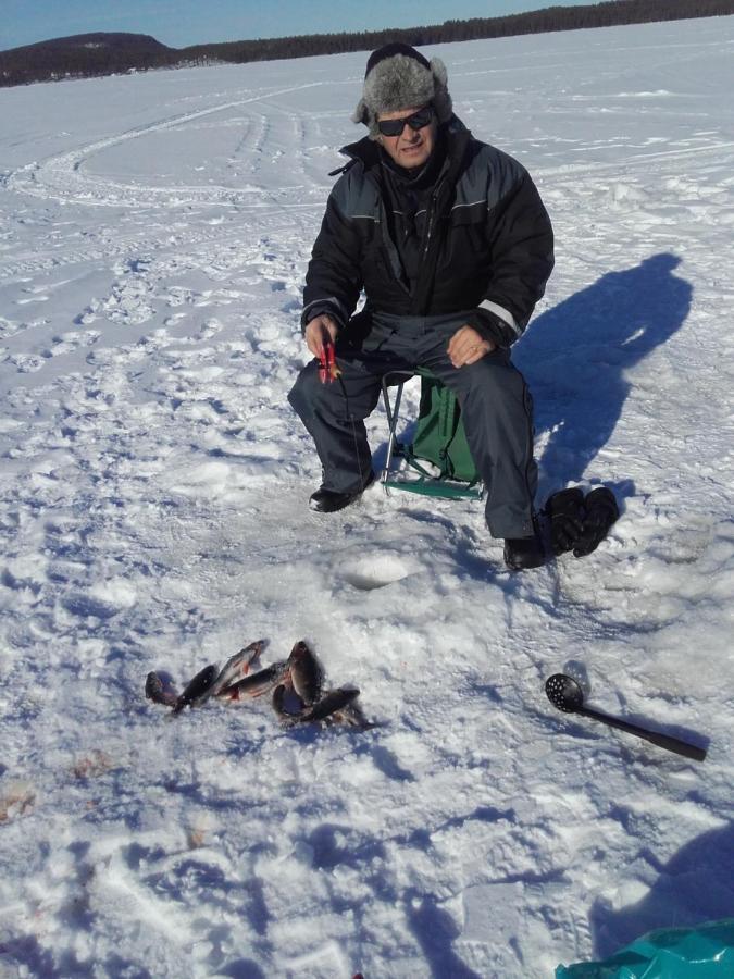 Arctic River Chalet روفانييمي المظهر الخارجي الصورة